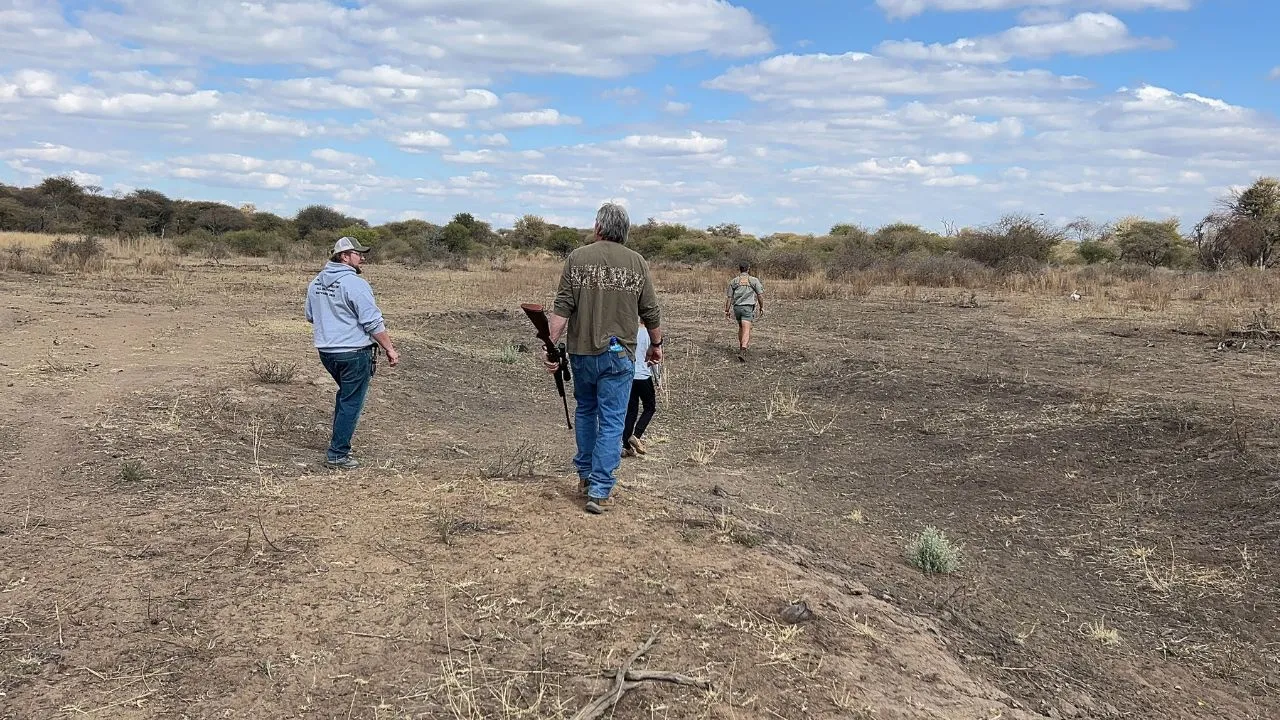 Walking open country