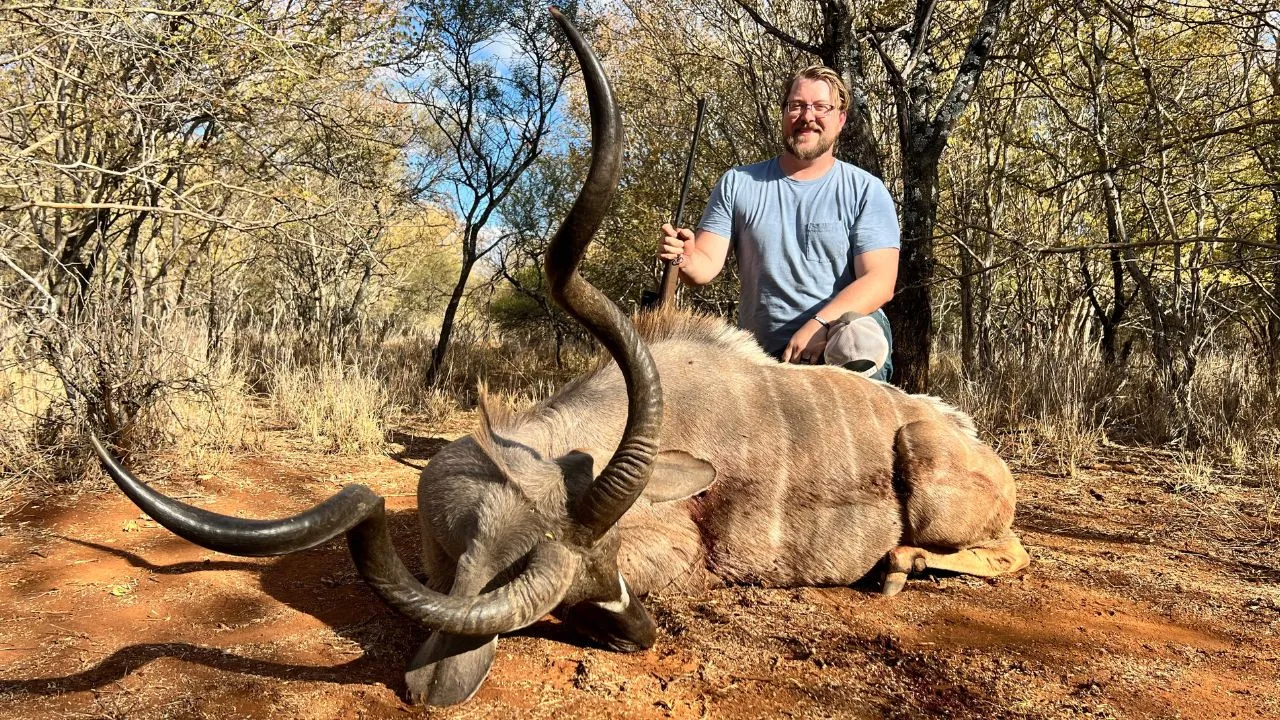 Hunter with wildebeest bull